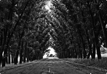 无限轰炸手机软件手机号下载