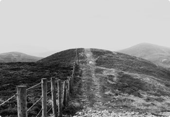 电话呼叫软件网页版